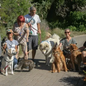 Members Only Dog Walk in the Garden
