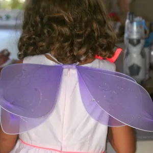 Fairy Homes & Nature Crafts Workshop