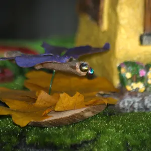 Fairy Homes & Nature Crafts Workshop