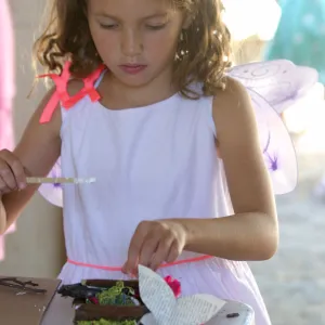 Fairy Homes & Nature Crafts Workshop, nature crafts