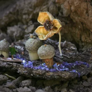 Fairy Homes & Nature Crafts Workshop, fairy village display