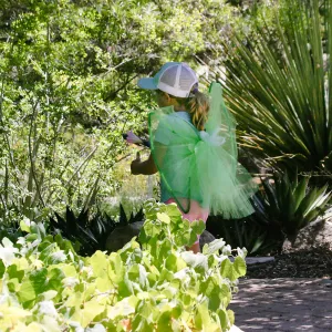 Fairy Homes & Nature Crafts Workshop