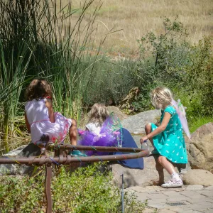 Fairy Homes & Nature Crafts Workshop