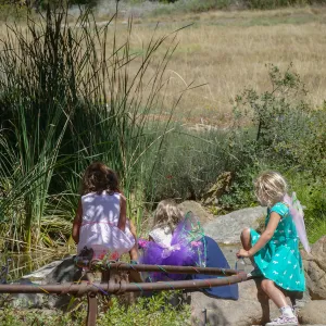 Fairy Homes & Nature Crafts Workshop