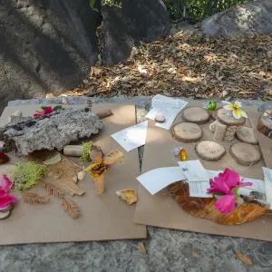 Fairy Homes & Nature Crafts Workshop, nature crafts