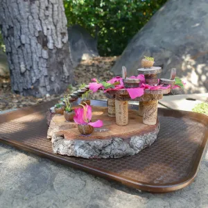 Fairy Homes & Nature Crafts Workshop, nature crafts