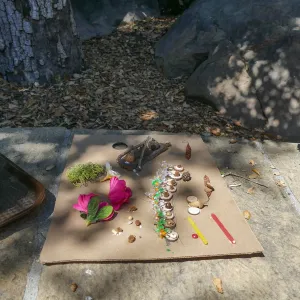 Fairy Homes & Nature Crafts Workshop, nature crafts