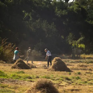 Wednesday volunteer crew working in the Meadow