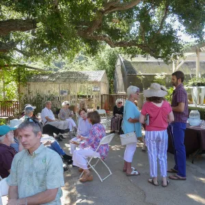 Summer Sips: â€œWhat Wines and Lichens Have in Commonâ€ with Rikke Naesborg