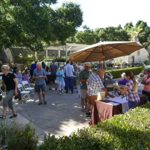 Summer Sips: â€œWhat Wines and Lichens Have in Commonâ€ with Rikke Naesborg