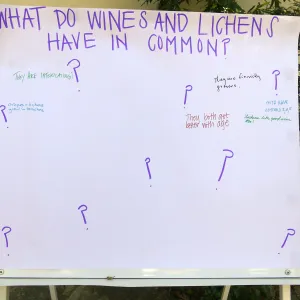 Summer Sips: â€œWhat Wines and Lichens Have in Commonâ€ with Rikke Naesborg