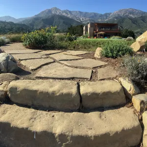 New Steps, PCC