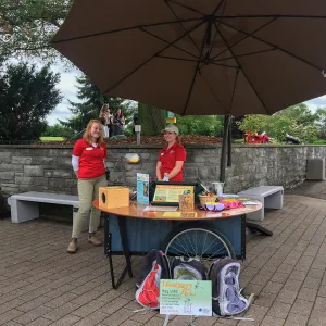 Royal Botanic Garden, Ontario, Canada, BioBlitz Bee display, Imagination Grove