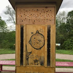 Royal Botanic Garden, Ontario, Canada, BioBlitz audio Bee Booth, Imagination Grove