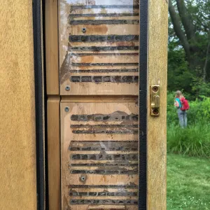 Royal Botanic Garden, Ontario, Canada, BioBlitz audio Bee Booth, Imagination Grove