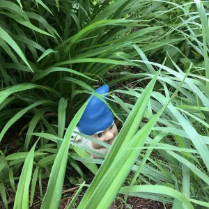 Royal Botanic Garden, Ontario, Canada, Gnome hiding in the Imagination Grove
