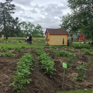 Royal Botanic Garden, Ontario, Canada, Imagination Grove