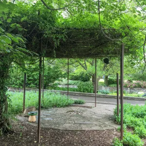 Royal Botanic Garden, Ontario, Canada, Giant Spider, Imagination Grove