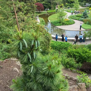 Royal Botanic Garden, Ontario, Canada