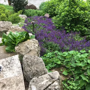 Royal Botanic Garden, Ontario, Canada