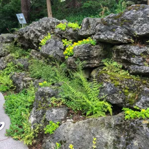 Royal Botanic Garden, Ontario, Canada