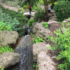 Stream at Royal Botanic Garden, Ontario, Canada