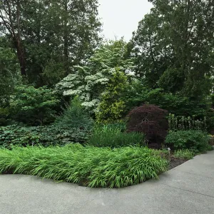 Royal Botanic Garden, Ontario, Canada