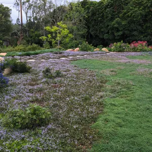 Montecito garden designed by Isabelle Greene