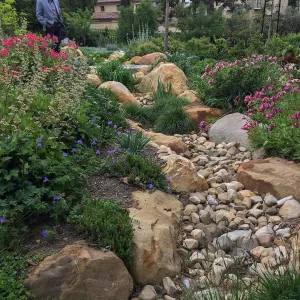 Dry creek bed at Montecito garden designed by Isabelle Greene