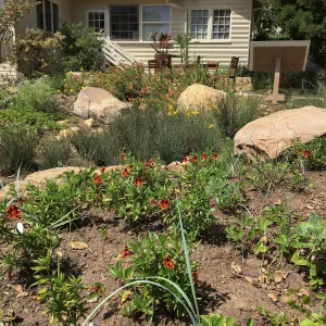 Rain garden at the Water Wise Home Garden