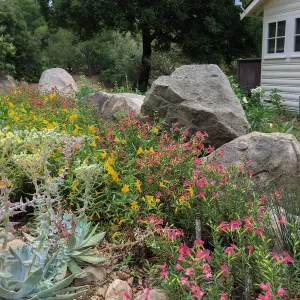 Water Wise Home Demonstration Garden