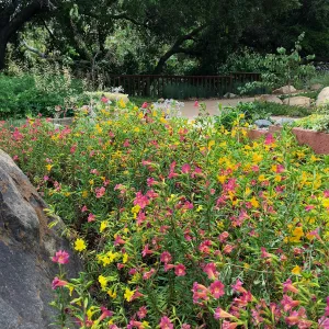 Water Wise Home Demonstration Garden