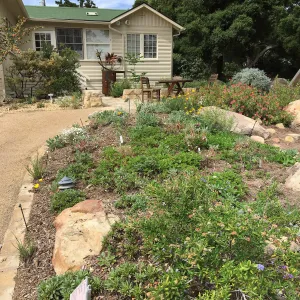 Water Wise Home Demonstration Garden