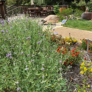 Water Wise Home Demonstration Garden