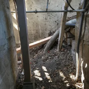 Clean-up and prep for fumigating the Herbarium building