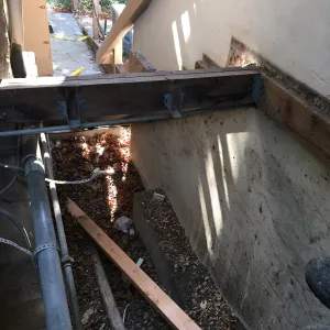 Clean-up and prep for fumigating the Herbarium building