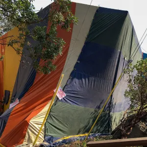 Fumigation of the Herbarium building