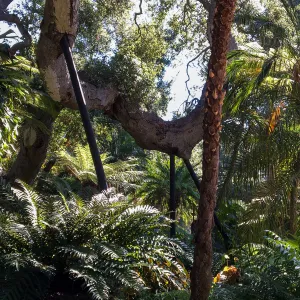 Lotusland