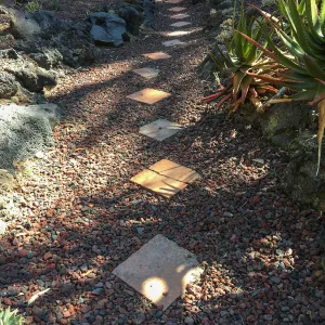 Path treatment at Lotusland