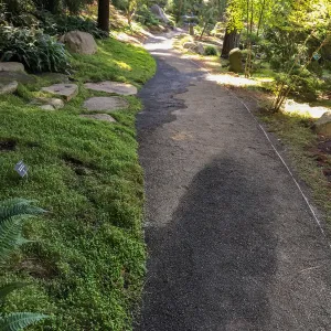 Path treatment at Lotusland