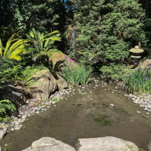Stone lantern at Lotusland