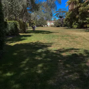 Lawn at Lotusland