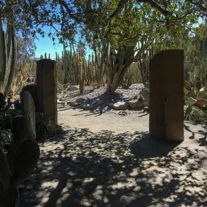 Cactus garden at Lotusland