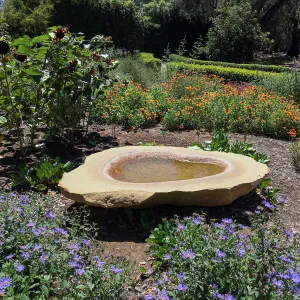 Water bowl in Lotusland pollinator garden 
