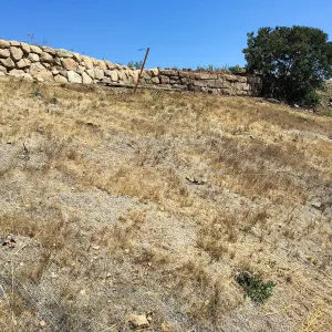 Stabilized slope on west side below Conservation Center