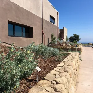 West side of Pritzlaff Conservation Center showng rare plant display