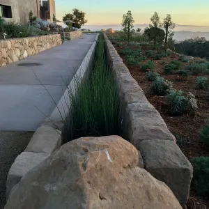 Equisetum rill at the Island View Garden