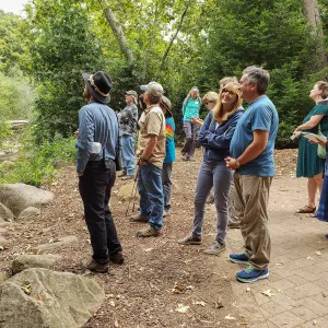 Greet the Day Stroll in the Redwood Section