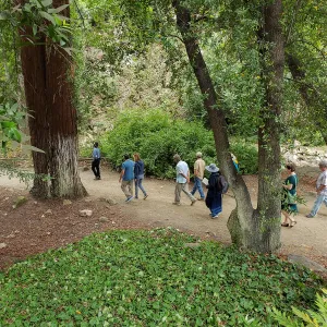 Greet the Day Stroll in the Redwood Section