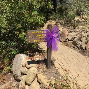 Fairy Homes and Nature Crafts Workshop